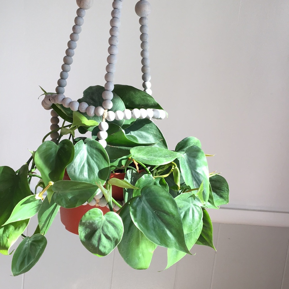 Beaded Wood Plant Hanger NWT